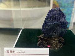 -中国第四纪冰川遗迹陈列馆