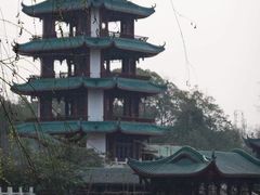 -桂湖森林公园