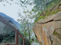 -铁山坪森林公园