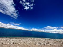 -小海豚•老字号海鲜餐厅(天涯店)