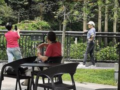 -点都德(广州白云山景区南门店)