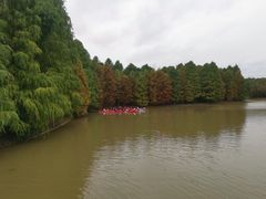 -上海海湾国家森林公园