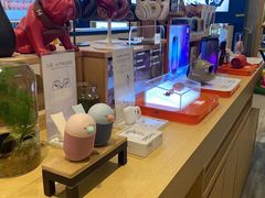 -开修苹果电脑手机维修服务(南翔印象城店)