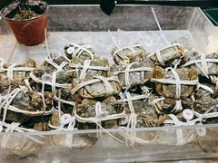 -半岛听涛蒸汽海鲜自助(K11店)