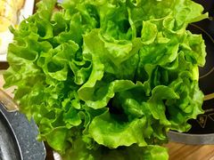 包肉叶生菜-小米烤肉·和牛原切-创意韩料(东关店)