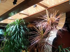 -多哥水傣味餐厅(司马巷店)