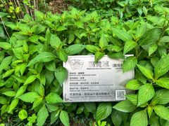 -广州神农草堂中医药博物馆