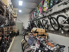 -道路口单车爱瓦士dahon大行