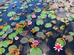 -白马涧龙池景区