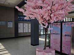 -黄浦路(地铁站)