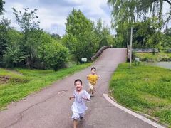 -白鹭湾湿地公园