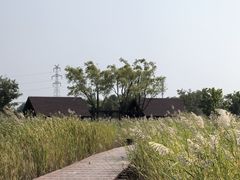 -永定河休闲森林公园