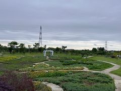 -紫颐香薰山谷景区