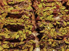 -B&C黄油与面包·THE GARDEN BAKERY概念店(世纪汇店)