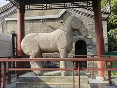 -西安碑林博物馆