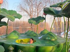 -清河半岛温泉度假酒店