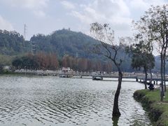 -顺峰山公园