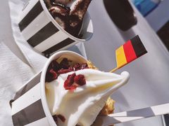 -JW德国冻酸奶Frozen Yogurt(龙湖成都滨江天街店)