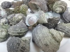 -星奇缘·海鲜餐厅(东山美食地标店)