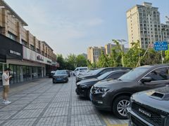 -车艺尚上海龙膜隐形车衣汽车贴膜旗舰店
