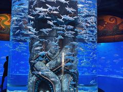 -波塞冬海底世界