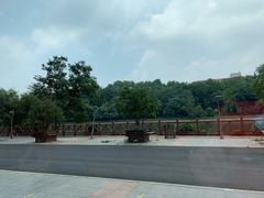 -安徽饭店·白鹭阁自助餐厅(梅山路店)