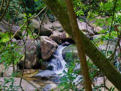 -广州白江湖森林公园