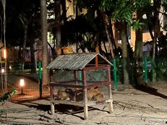 -三亚海棠湾万丽度假酒店