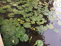 -桃园美食(水库路店)