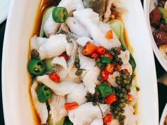 青椒鲜鲈鱼-鸿运楼烤鸭店(天桥店)