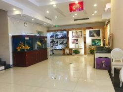 -完美新娘婚纱摄影