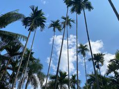 -中国科学院西双版纳热带植物园