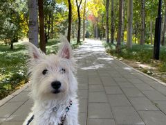 -北极寺公园