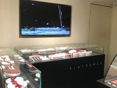 -BLACKSWAN黑天鹅(环球店)