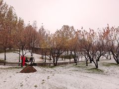 -万柳高尔夫俱乐部