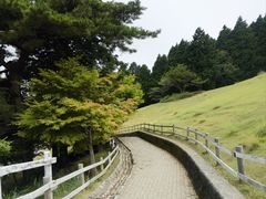 -神户市立六甲山牧场