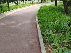 -方庄体育公园