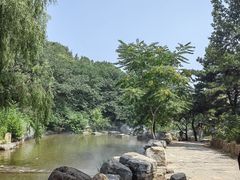 -北京西山国家森林公园