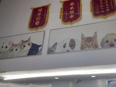 -爱侣宠医·鹦鹉专科·小型哺乳类·异宠专科(灵石路店)