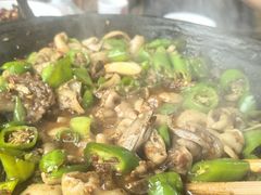 -张氏父子常德肠子馆(红星总店)