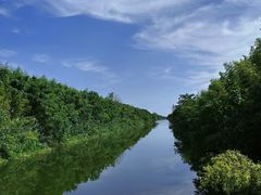 -黄海国家森林公园
