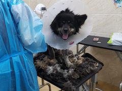 -美联众合动物医院·24h京西诊疗中心