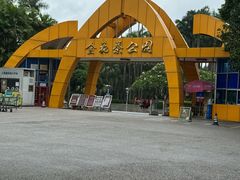-金花茶公园