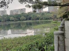 -南宁南湖公园