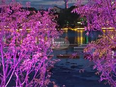 -凤城河风景区