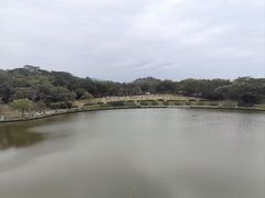 -东莞植物园