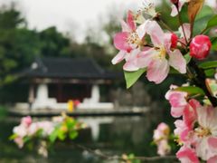 -莫愁湖公园