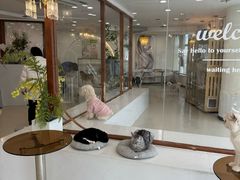 -共舞时光猫咖·狗咖(新街口店)