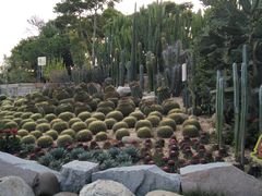 -胡里山炮台