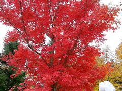 -长春世界雕塑园冰雪艺术天地